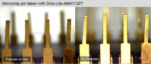 polarizace - piny mikročipu.jpg